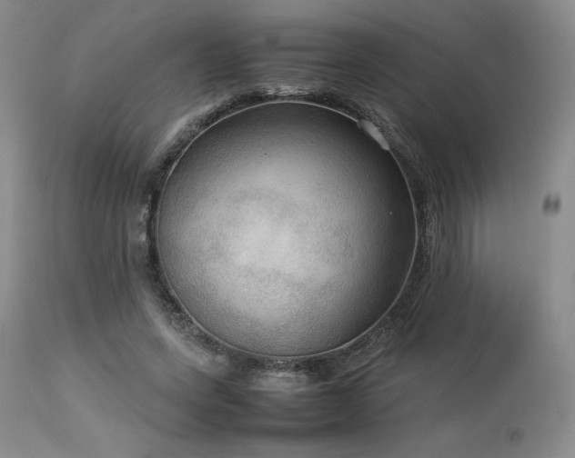 X0000114110543200910051515