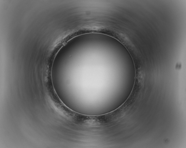 X0000114110544200910051515