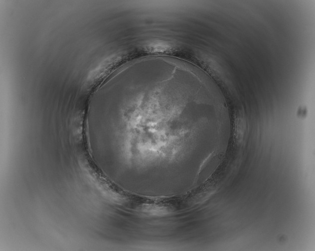 X0000114110545200910051515