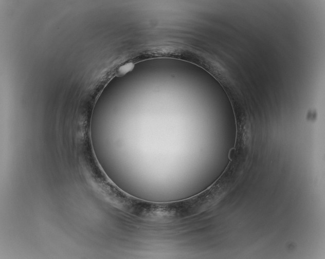 X0000114110546200910051515