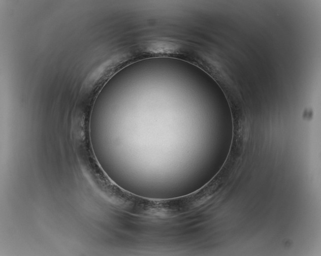 X0000114110547200910051515