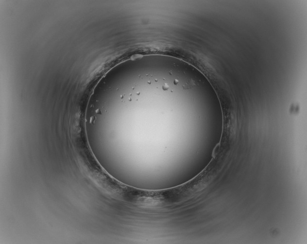 X0000114110548200910051515
