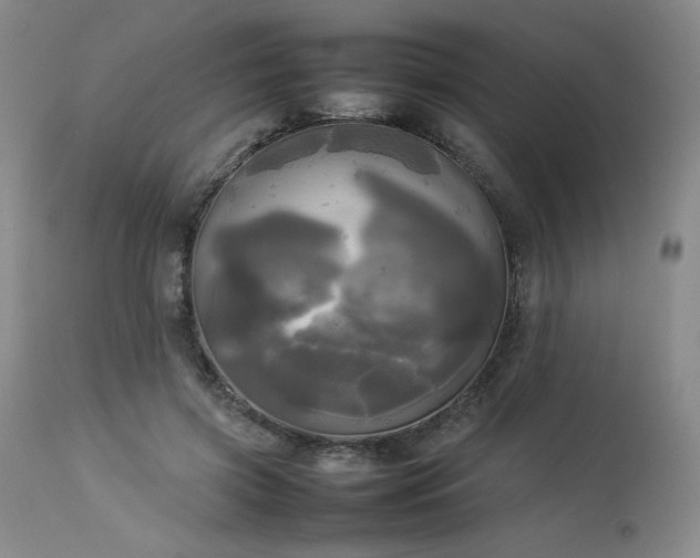 X0000114110549200910051515