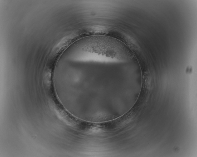X0000114110550200910051515