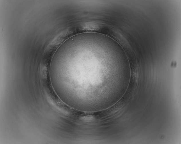 X0000114110551200910051515