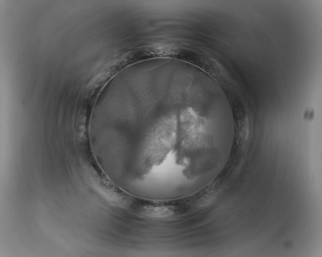 X0000114110553200910051515