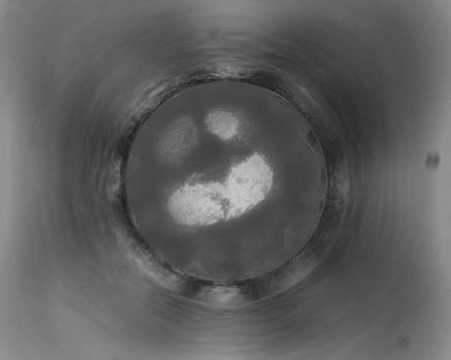 X0000114110554200910051516
