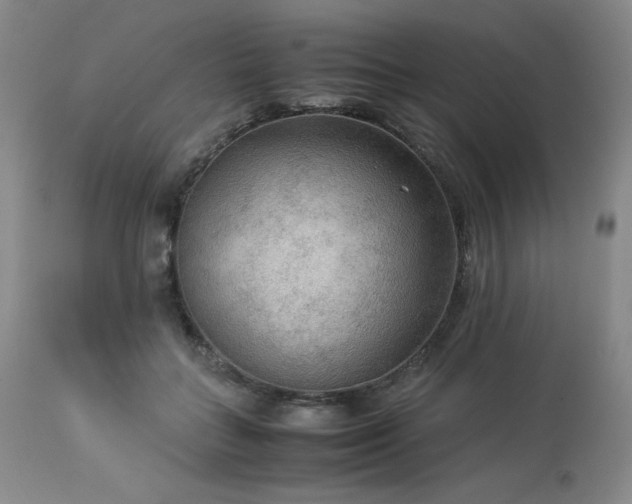 X0000114110555200910051516