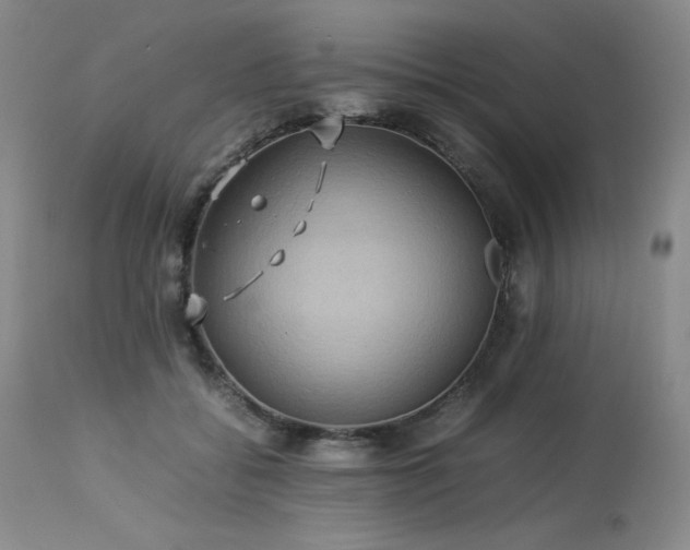 X0000114110556200910051516