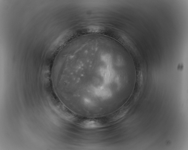X0000114110557200910051516