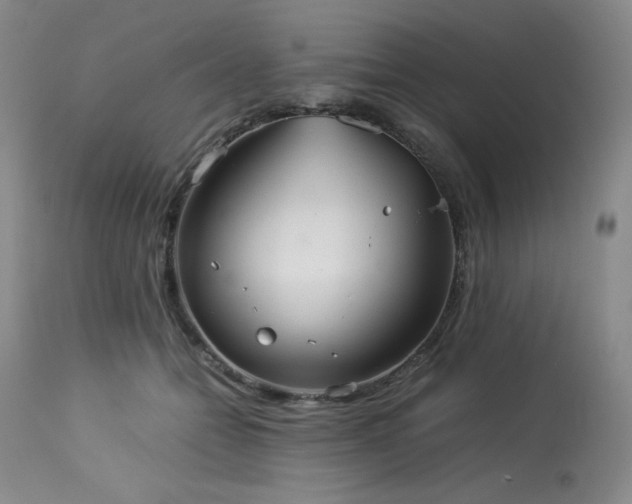 X0000114110558200910051516