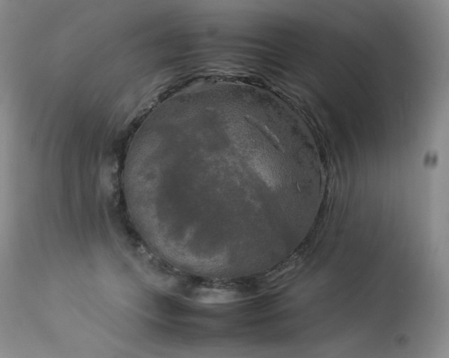 X0000114110559200910051516
