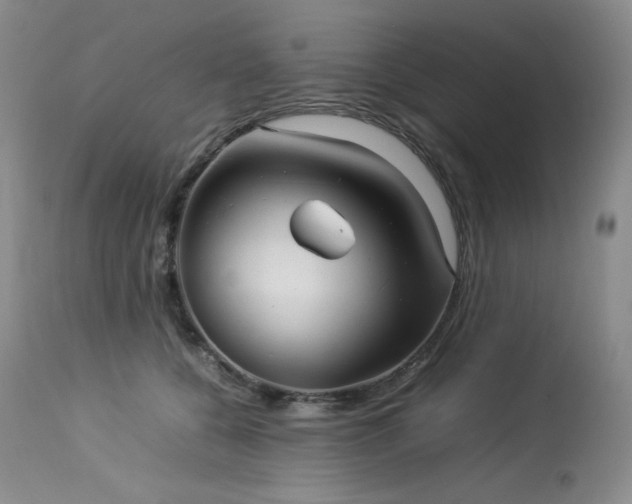 X0000114110560200910051516