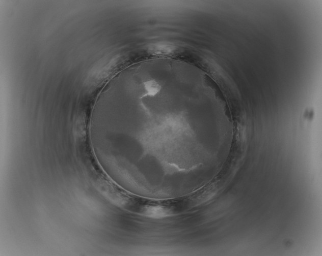 X0000114110561200910051516