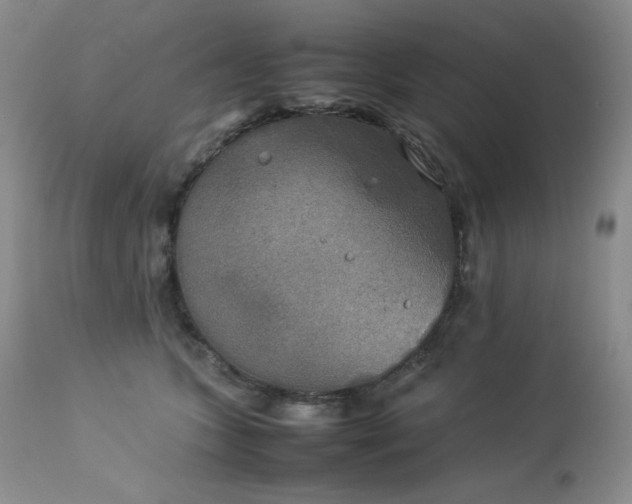 X0000114110563200910051516