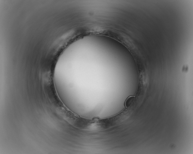 X0000114110564200910051516