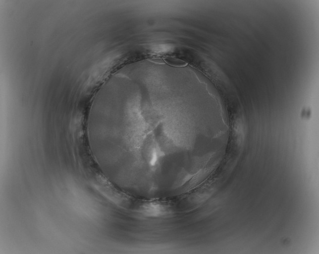 X0000114110565200910051516