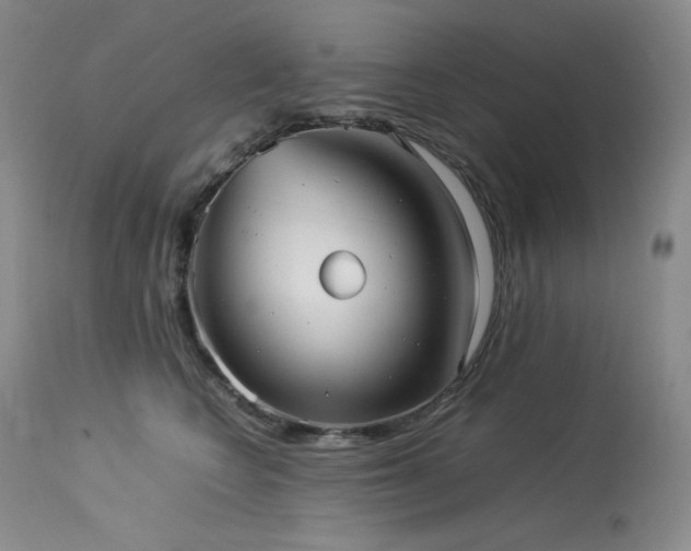 X0000114110566200910051516