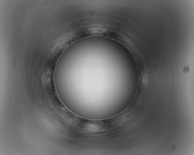 X0000114110567200910051516