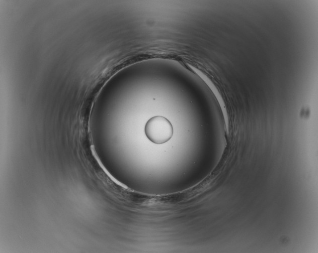 X0000114110568200910051516