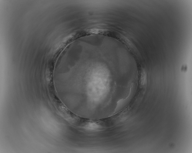 X0000114110569200910051516