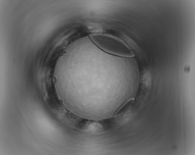 X0000114110572200910051516