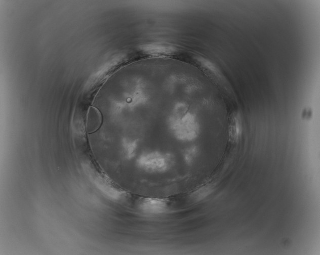 X0000114110573200910051516