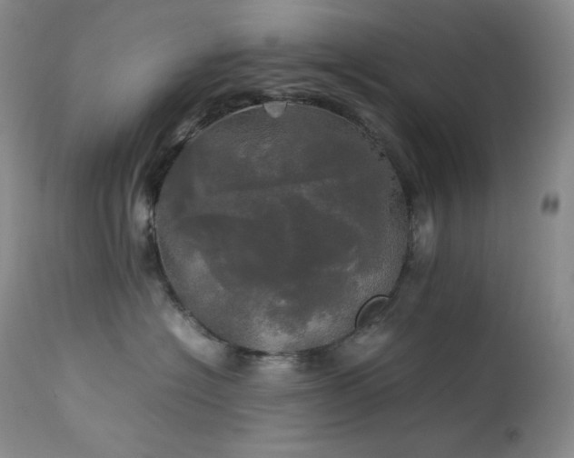X0000114110574200910051516
