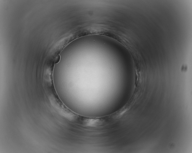 X0000114110575200910051516