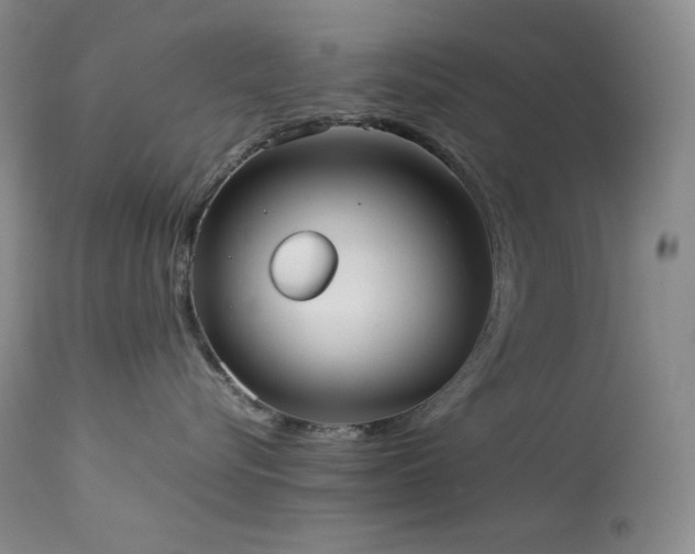X0000114110576200910051516