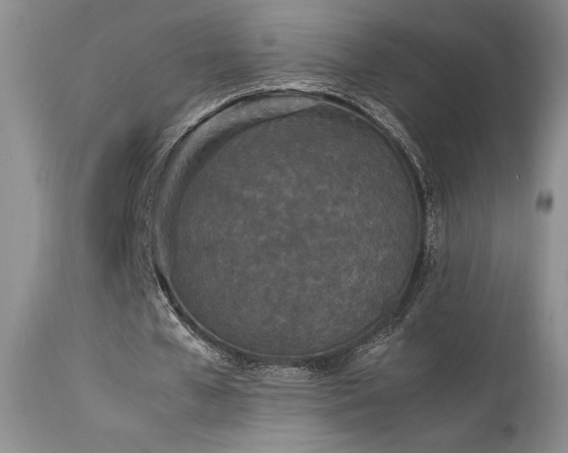 X0000114110577200910051515