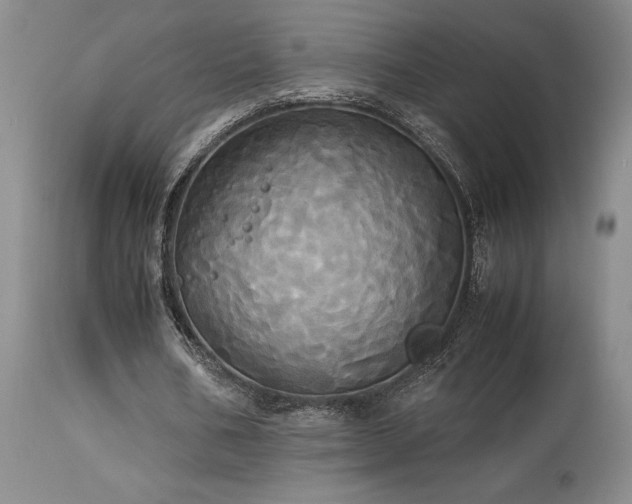 X0000114110578200910051515