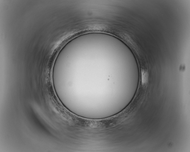X0000114110579200910051515