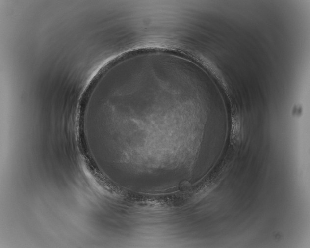 X0000114110580200910051515