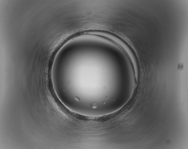 X0000114110581200910051515