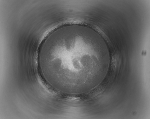 X0000114110582200910051515