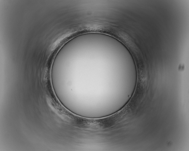 X0000114110583200910051515