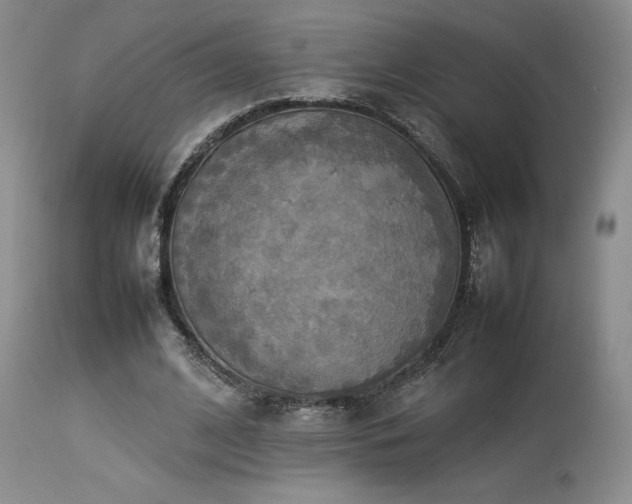 X0000114110584200910051515