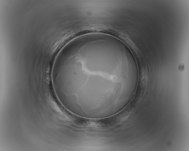 X0000114110585200910051515