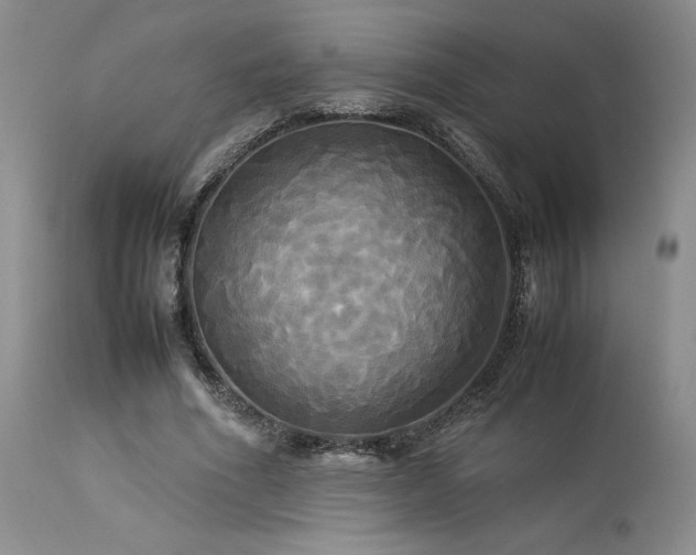 X0000114110586200910051515