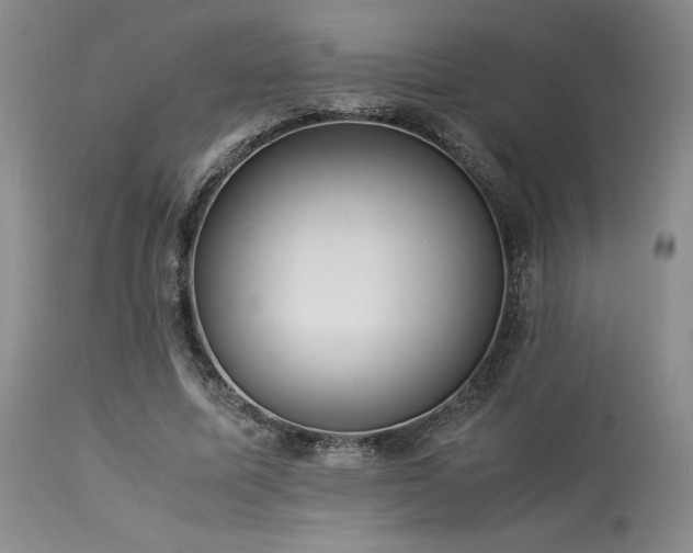 X0000114110587200910051515