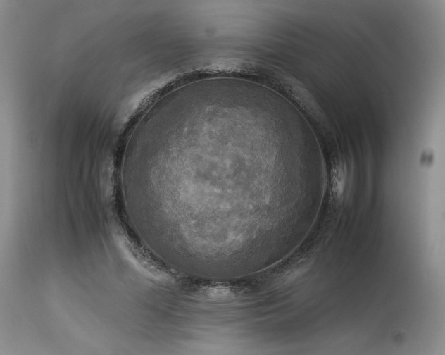 X0000114110588200910051515