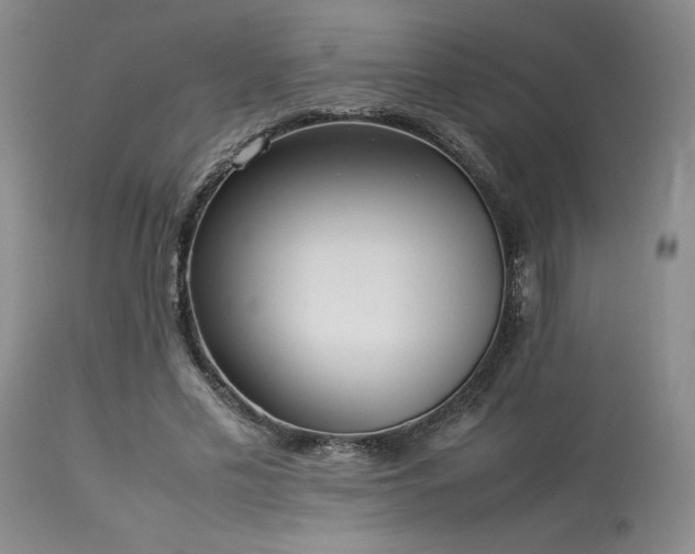 X0000114110589200910051515