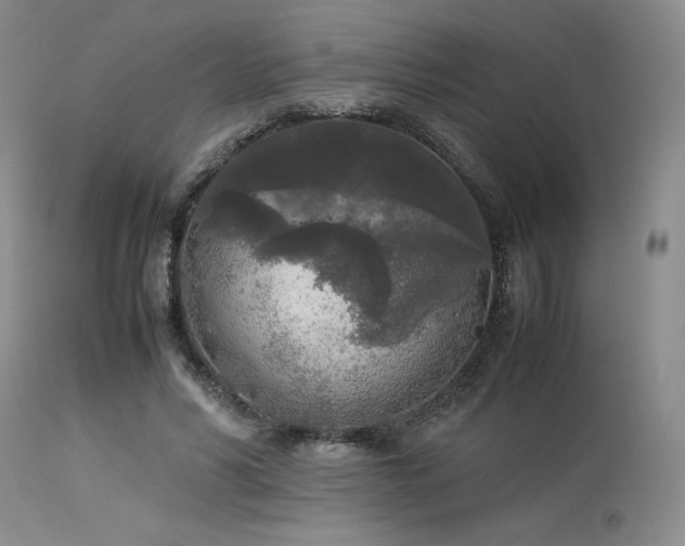 X0000114110590200910051515