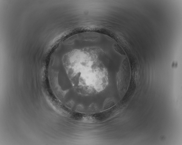 X0000114110591200910051515