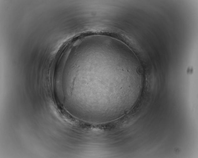 X0000114110592200910051515