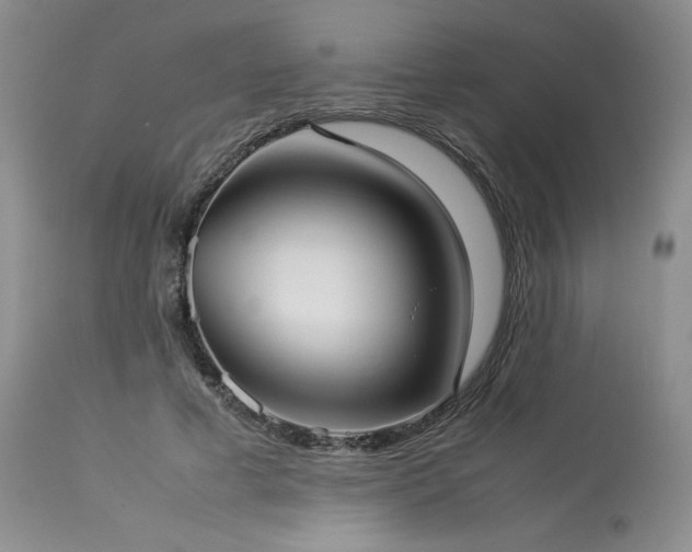 X0000114110593200910051515