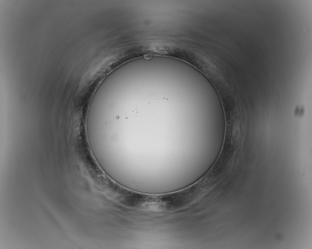 X0000114110595200910051515