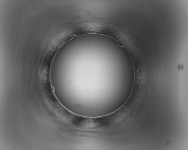 X0000114110597200910051515
