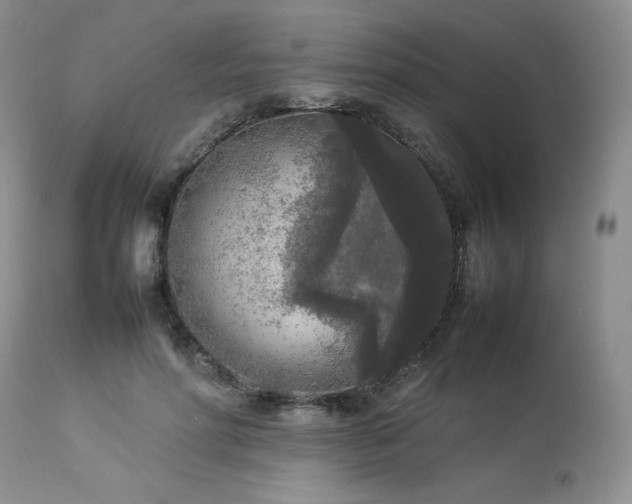 X0000114110598200910051515